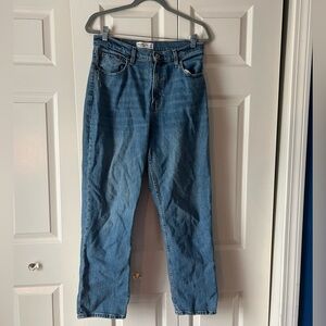 Abercrombie & Fitch Curve Love 90’s Straight Ultra High Rise Size 10 Short